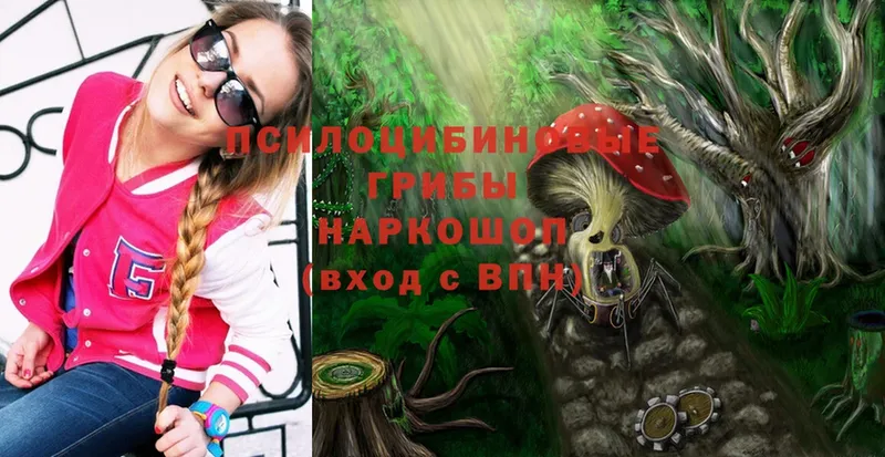 Галлюциногенные грибы MAGIC MUSHROOMS  мега зеркало  Дигора  цена наркотик 